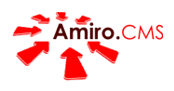 Официальный партнер Amiro.CMS